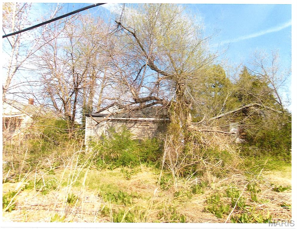 Fixer upper at 1235 Oriole Street