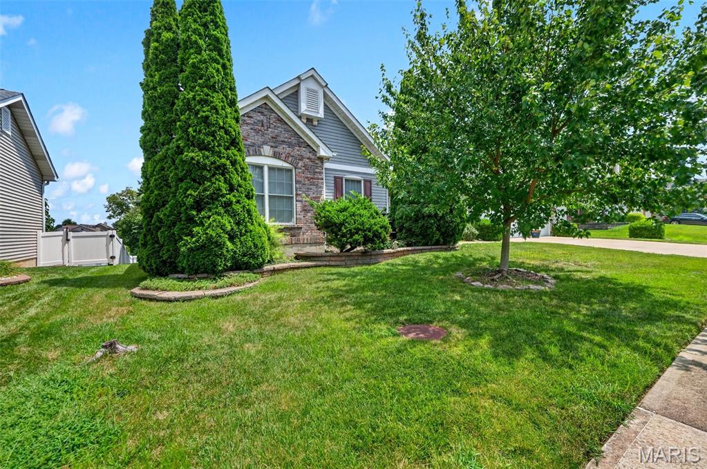 STL Images